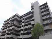 コープ野村恩智D 写真